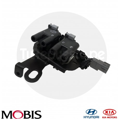 BOBINA DE ENCENDIDO HYUNDAI ELANTRA/TUCSON/TIBURON/SPORTAGE (2003-2008)