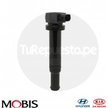 BOBINA DE ENCENDIDO HYUNDAI SANTA FE 08-09
