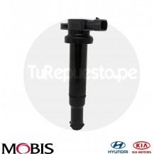 BOBINA DE ENCENDIDO HYUNDAI SANTA FE 06- 07