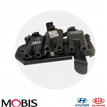 BOBINA DE ENCENDIDO HYUNDAI SANTA FE v6 200-2003