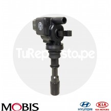 BOBINA DE ENCENDIDO KIA SEDONA (02-05)