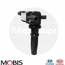 BOBINA DE ENCENDIDO HYUNDAI SONATA 99-05, SANTA FE 01-06