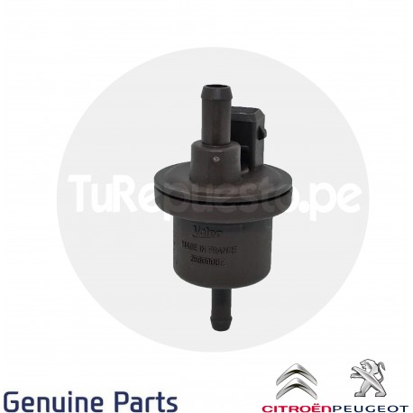 VALVULA CANISTER PEUGEOT - CITROEN | 206 | 306 | C2 |C4 | 1628 7G